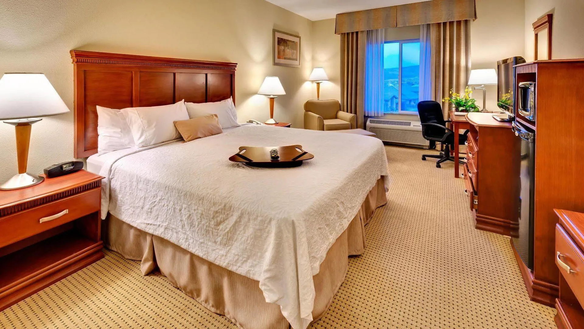 Hampton Inn & Suites Reno Hotel